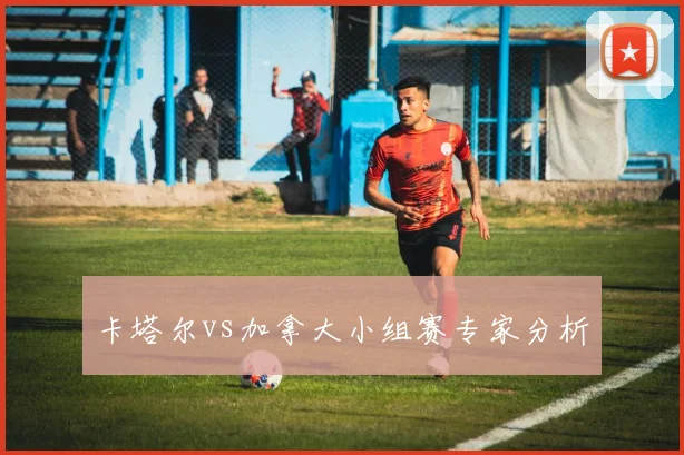 卡塔尔vs加拿大小组赛专家分析