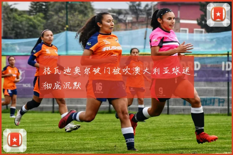 格瓦迪奥尔破门被吹澳大利亚球迷彻底沉默