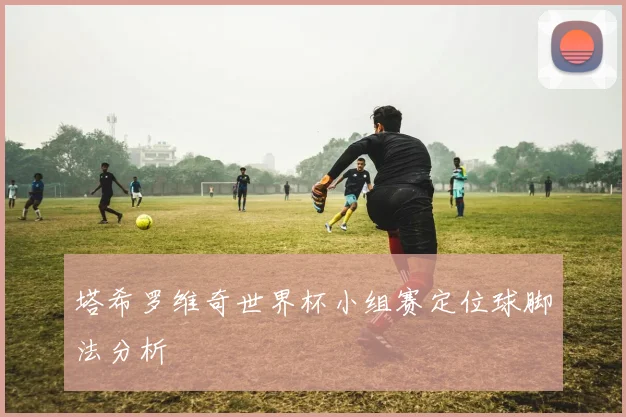 塔希罗维奇世界杯小组赛定位球脚法分析