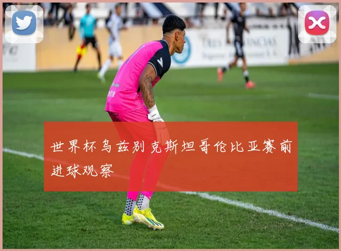 世界杯乌兹别克斯坦哥伦比亚赛前进球观察