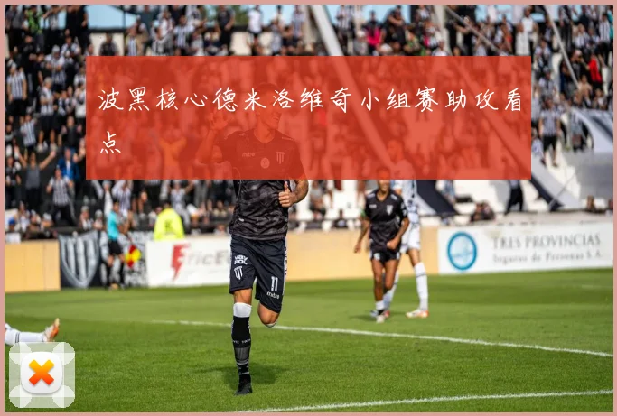 波黑核心德米洛维奇小组赛助攻看点