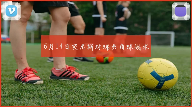 6月14日突尼斯对瑞典角球战术