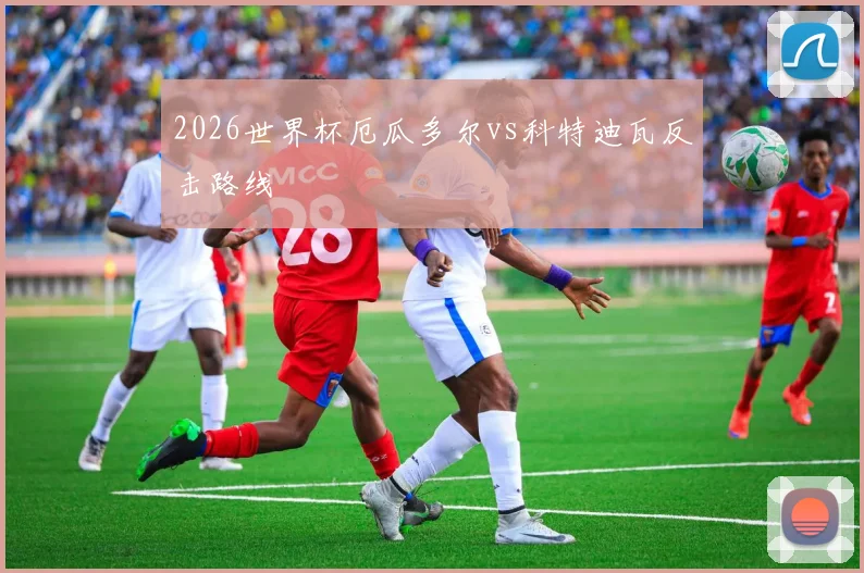 2026世界杯厄瓜多尔vs科特迪瓦反击路线