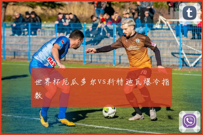 世界杯厄瓜多尔vs科特迪瓦爆冷指数